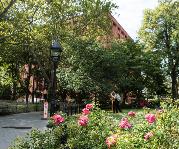 Outside view of New York University building